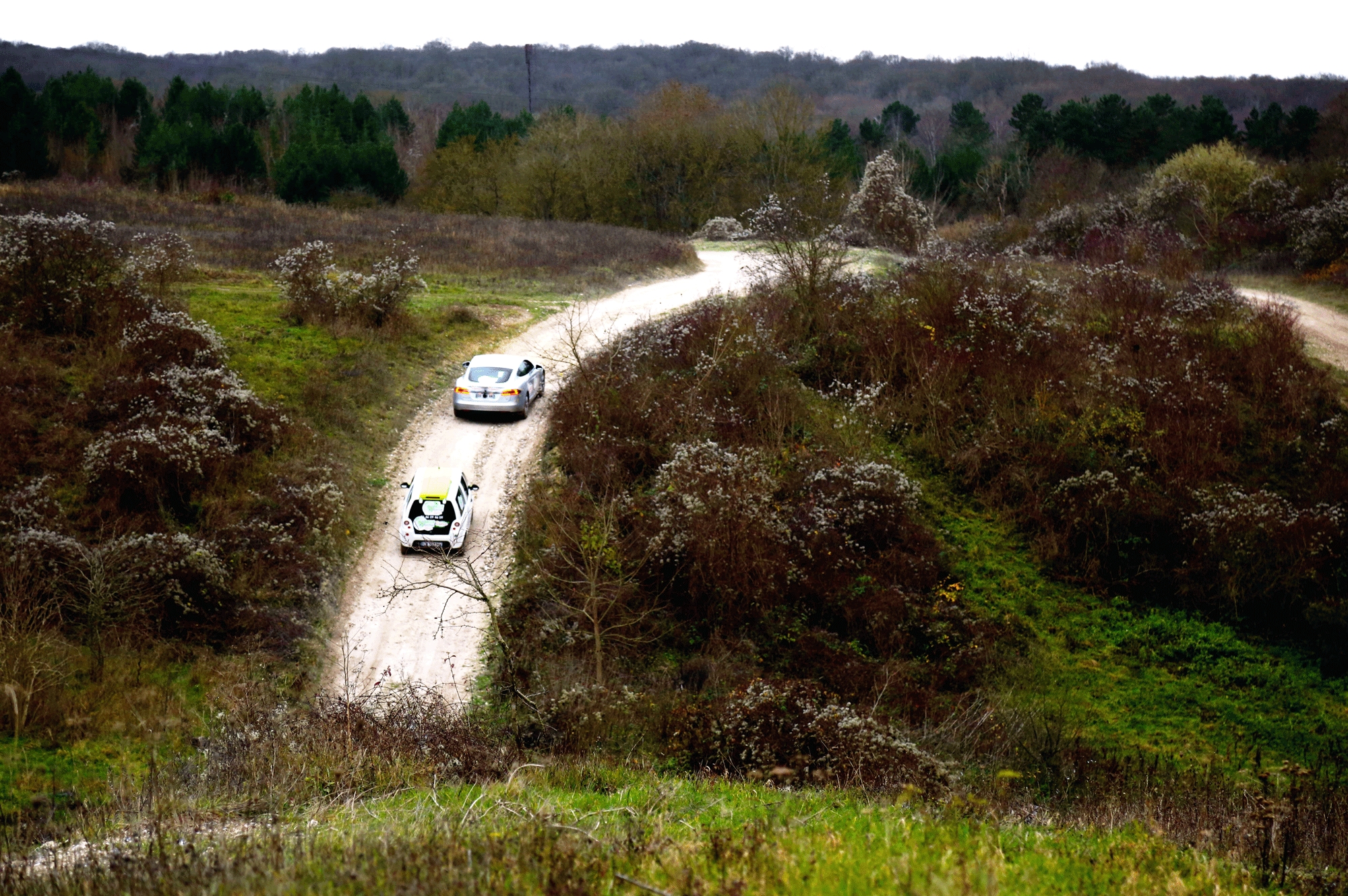 El eco rally más largo del mundo se corre en la Argentina
