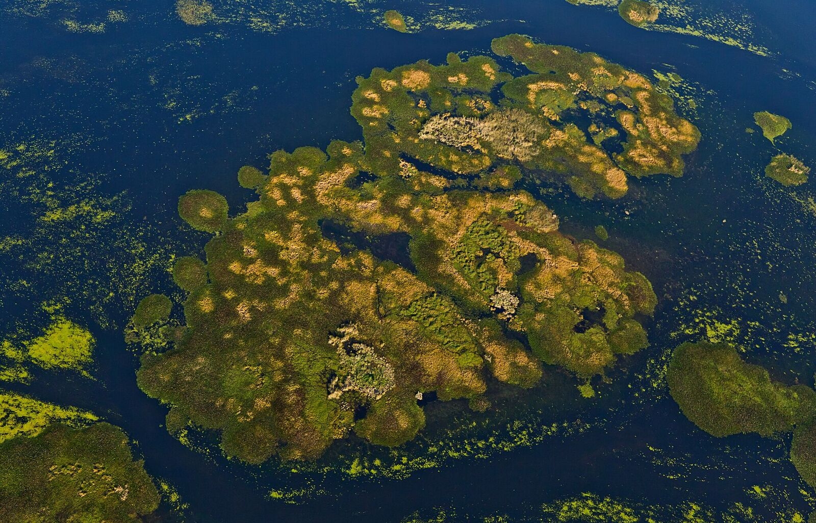 Se aprobó la creación del Parque Nacional Iberá