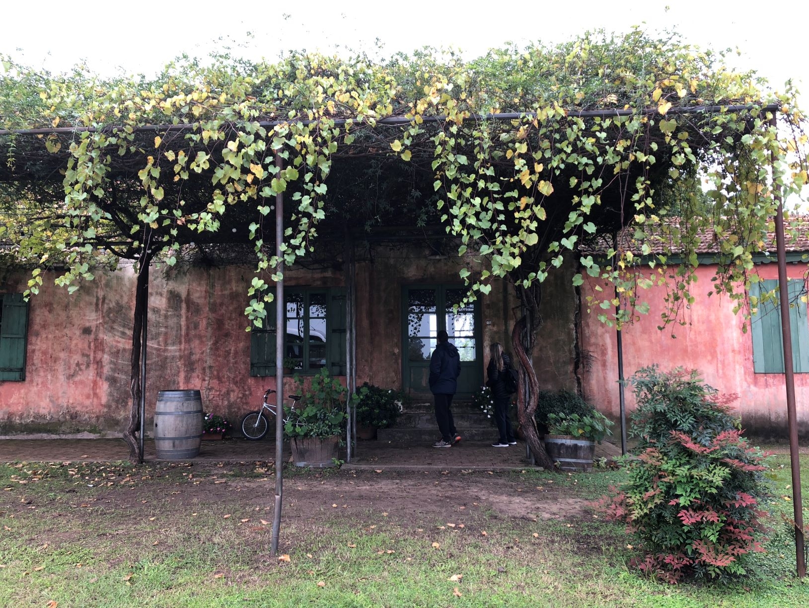Una velada con música y vinos, en Colón