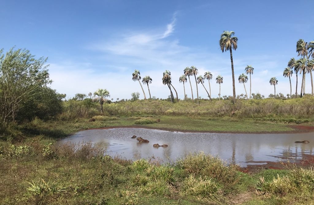 Senderismo en el Parque Nacional El Palmar
