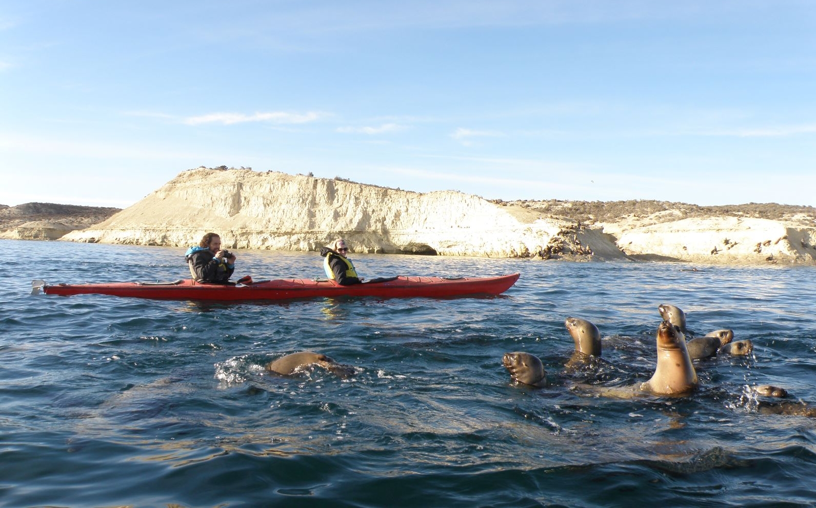 Un verano de playa y aventuras en Puerto Madryn