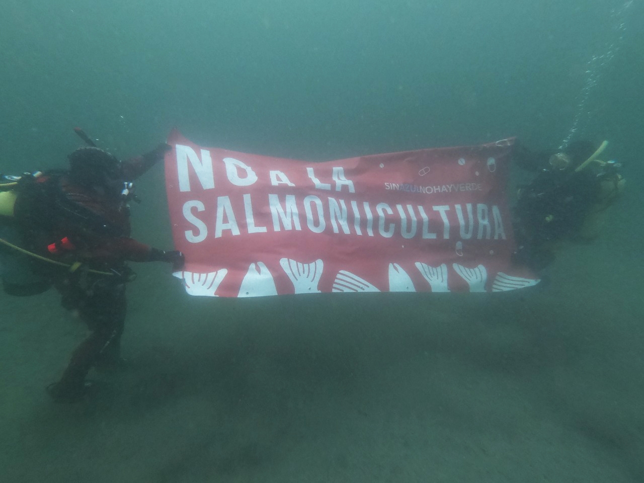 Tierra del Fuego dijo NO a la salmonicultura