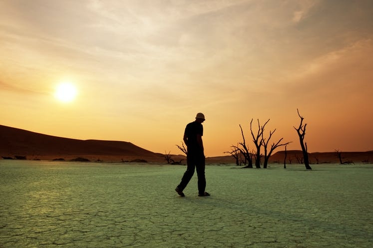 COP26: ¿Cómo sería el mundo si las temperaturas subieran 3 °C?