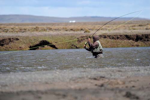 Truchas en las afueras de Río Grande

