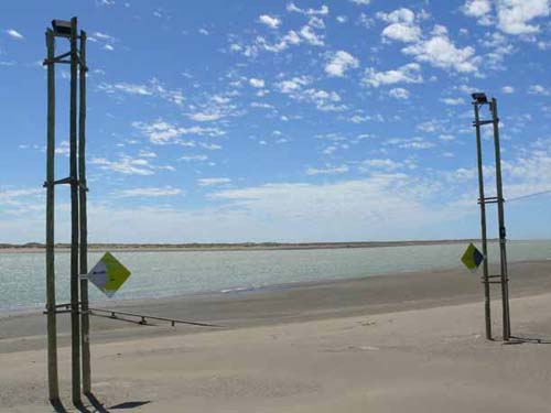 Agua de delfines: cartelería para avistar y conservar 
