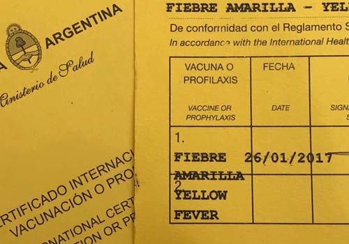 Fiebra amarilla: ¿cuándo y por qué vacunarse?