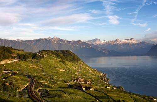 Suiza invita con sus mejores vinos