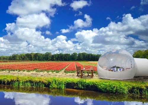Sólo este fin de semana: una habitación entre tulipanes