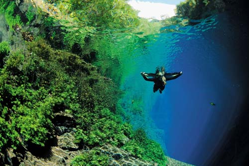 Buceo en Brasil: en Río, no. En ríos... 