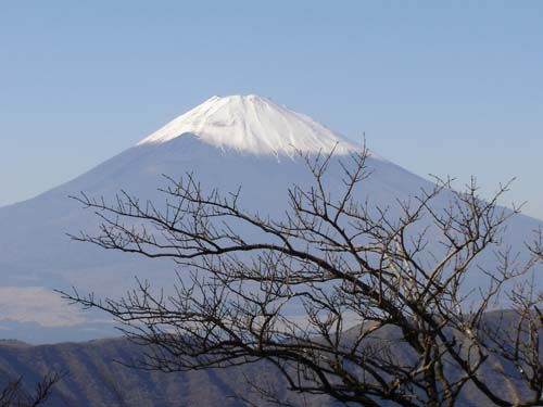 En Japón, Airbnb es legal y no lo es... 