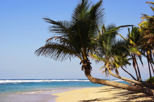 Ahora se vuela directo de Córdoba a Punta Cana