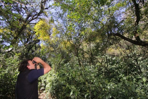 Nuevos senderos en una reserva tucumana
