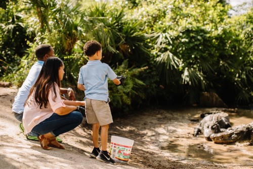 Kissimmee al natural