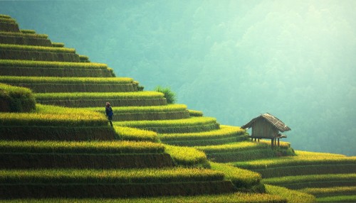 Bali hará pagar un impuesto a los turistas