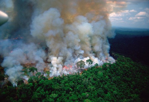 El Amazonas en llamas