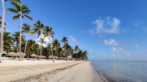 Preocupa la epidemia de dengue en República Dominicana
