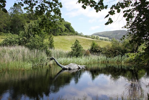 ¿El monstruo del Loch Ness sería una anguila? 