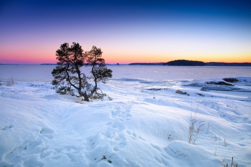 En un hotel de Finlandia: menos contaminas, menos pagas