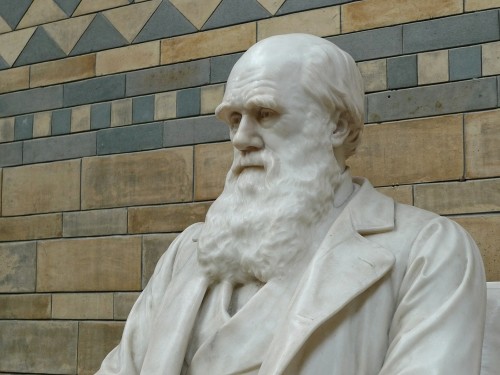 Darwin está celebrado hoy en todo el mundo