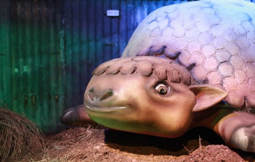 Megafauna pampeana en un museo de Lincoln