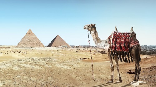 Va a desaparecer un tercio del turismo mundial