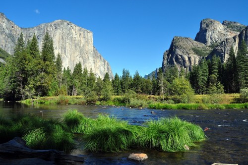 Durante la cuarentena: organizá un trekking en el PN Yosemite