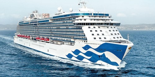 Suicidios en buques de cruceros 