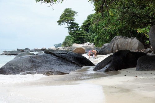 Durante la cuarentena: disfrutá de las Islas Seychelles