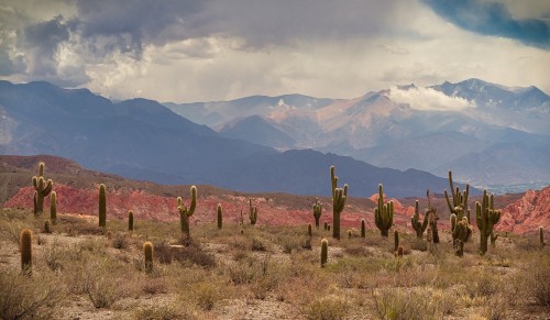 Reactivación del turismo en la Argentina: sí pero no...