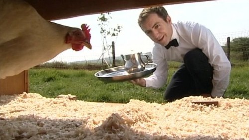 En Inglaterra existe un hotel para gallinas