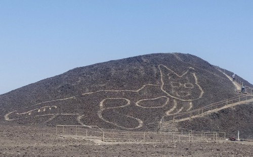 Encontraron un gato de 37 metros en Nazca