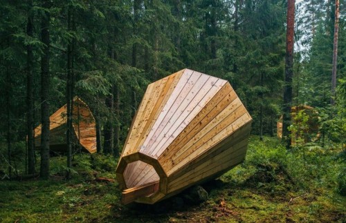 Amplificadores naturales para escuchar el sonido de los bosques