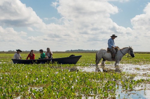 Corrientes habilitó todos los portales de acceso al Iberá