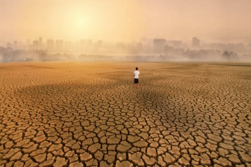 Por qué nos cuesta actuar contra el cambio climático