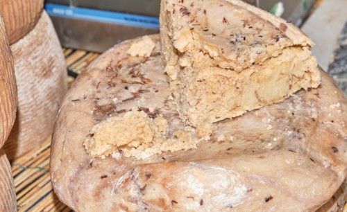 Casu marzu: el queso prohibido