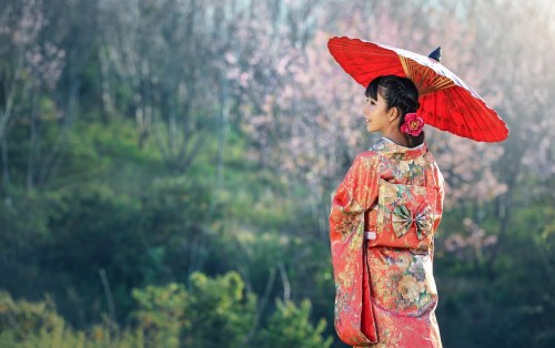 Palabras que existen solo en japonés