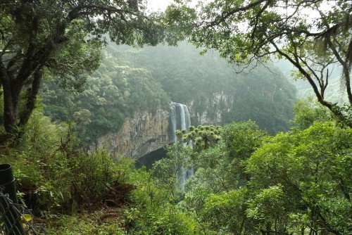 Brasil promueve sus destinos naturales en Expo Dubai 2020