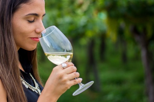 La Ruta del Vino de Tucumán