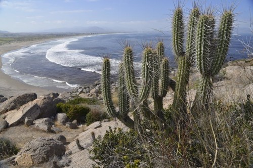 Los impactos del cambio climático en América Central y del Sur
