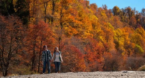 Todos los colores del otoño en Neuquén