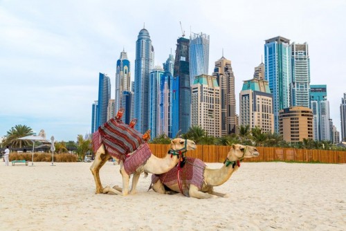 My Emirates Summer Pass: cuando las tarjetas de embarque traen regalos