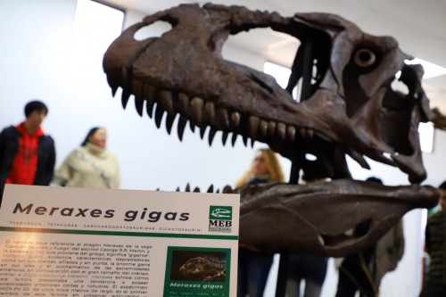 Meraxes, el nuevo dinosaurio argentino