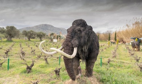 Desextinción: ¿y si resucitamos un mamut y, después, un dinosaurio?