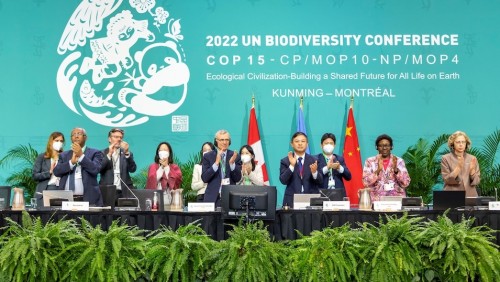 COP15: un acuerdo histórico para la biodiversidad