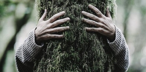 Medio ambiente 2022: el año del despertar climático
