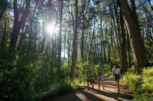 Circuito Chico, un imperdible de Bariloche
