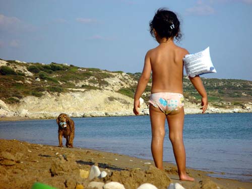 Disfrutar de la playa con su perro

