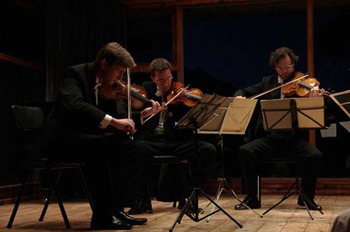 Llega el Vº Festival de Música de los Siete Lagos

