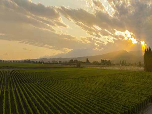 Vino y atardeceres en la Bodega Septima
