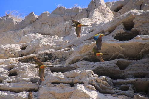 De Viedma a Bahía Creek: la Ruta 1 en verano
